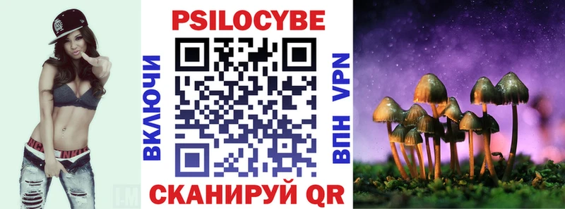Галлюциногенные грибы Psilocybe  MEGA ТОР  Козельск  где найти наркотики 